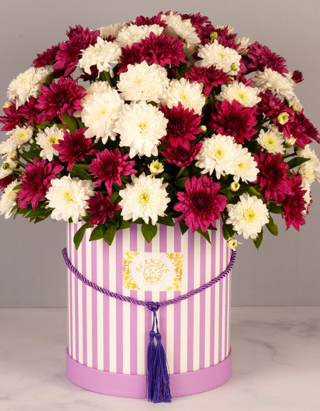 Chrysanthemums Box