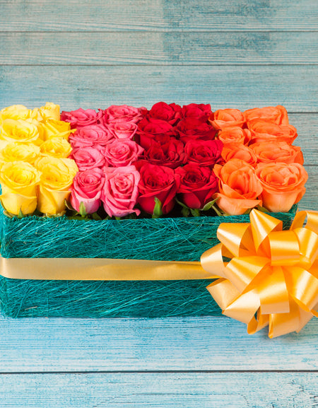Colorful Roses Arranged in a Bed