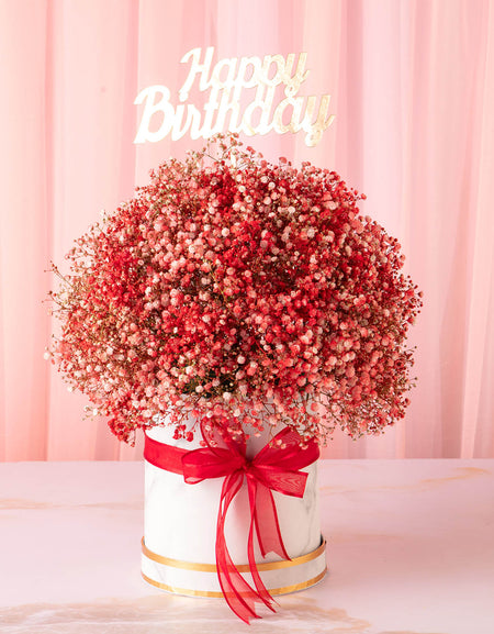 flower delivery to pune - sparkling red gypsophilia