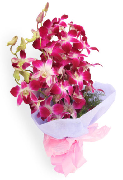 order orchid flowers online