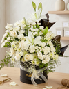 Prism White