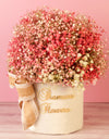 flower delivery to pune - pink Gypsophilia arranged in a round box. 
