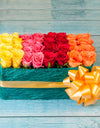 Colorful Roses Arranged in a Bed