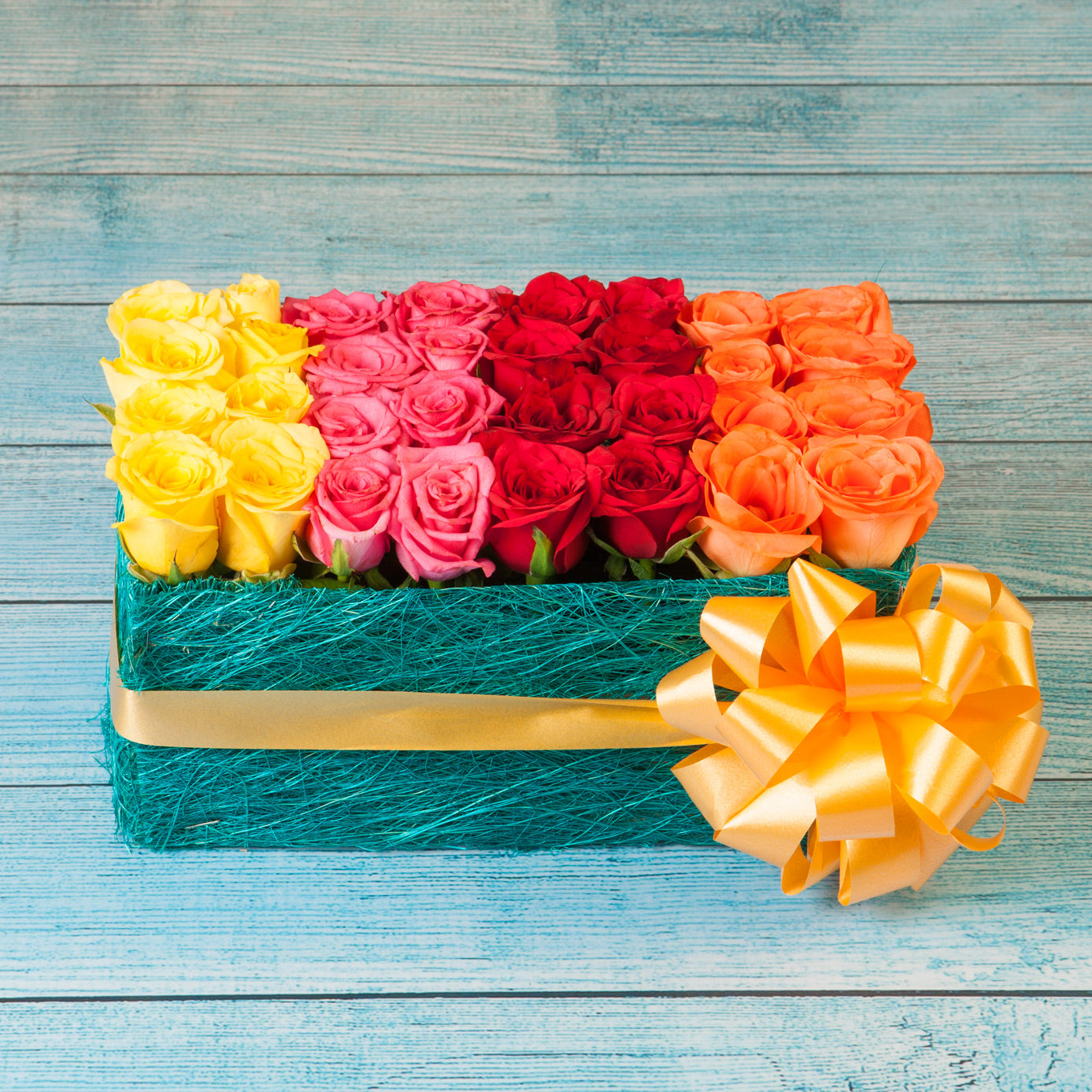 Colorful Roses Arranged in a Bed
