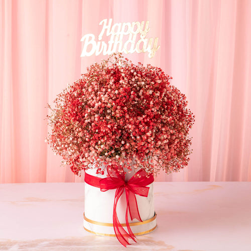 flower delivery to pune - sparkling red gypsophilia