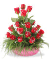 Order Roses Online In Pune