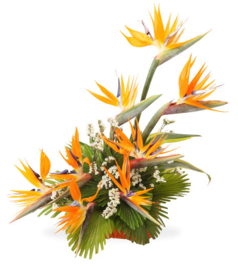 Order flower bouquet online in Pune