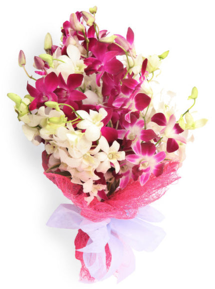 Online Orchid Flower Delivery